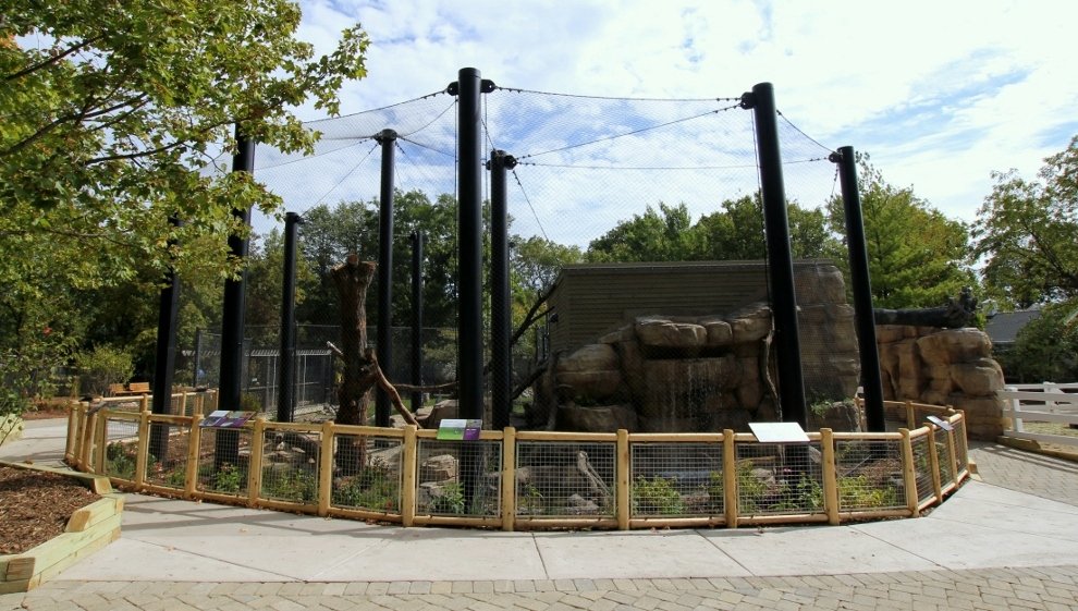 Custom Animal Caging Solutions